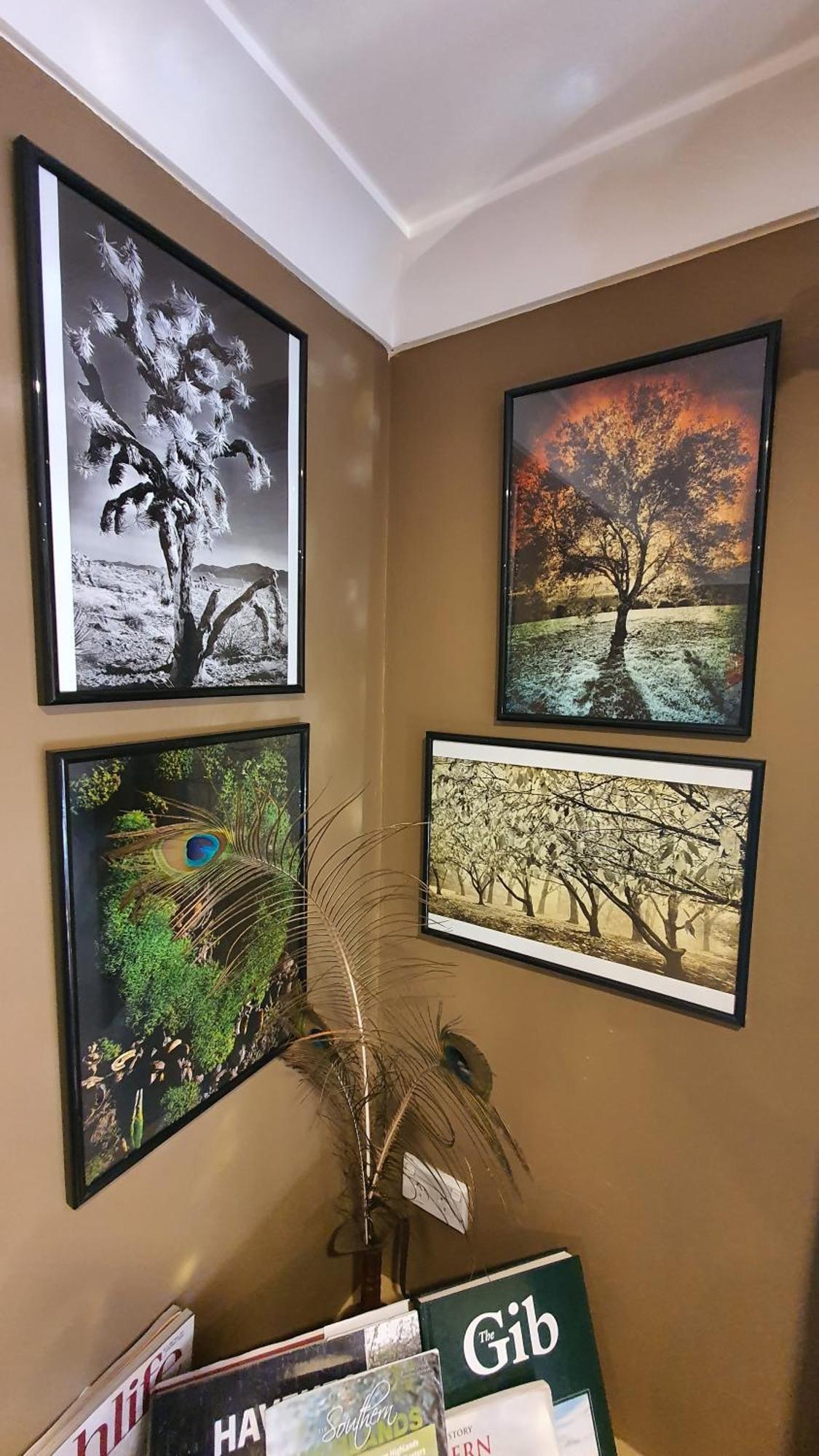 Bowral Road Art Gallery Bed And Breakfast Mittagong Zewnętrze zdjęcie
