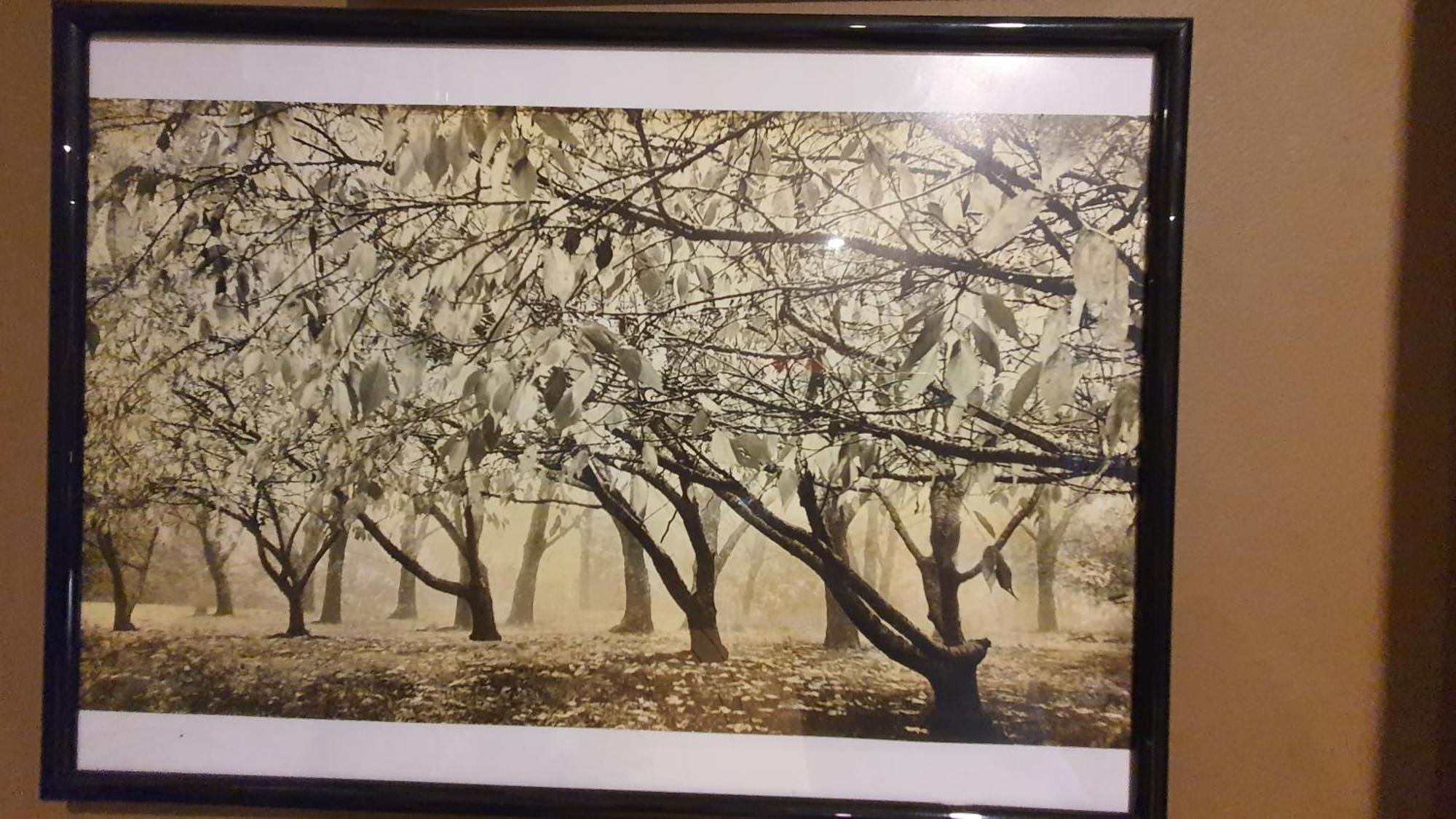 Bowral Road Art Gallery Bed And Breakfast Mittagong Zewnętrze zdjęcie