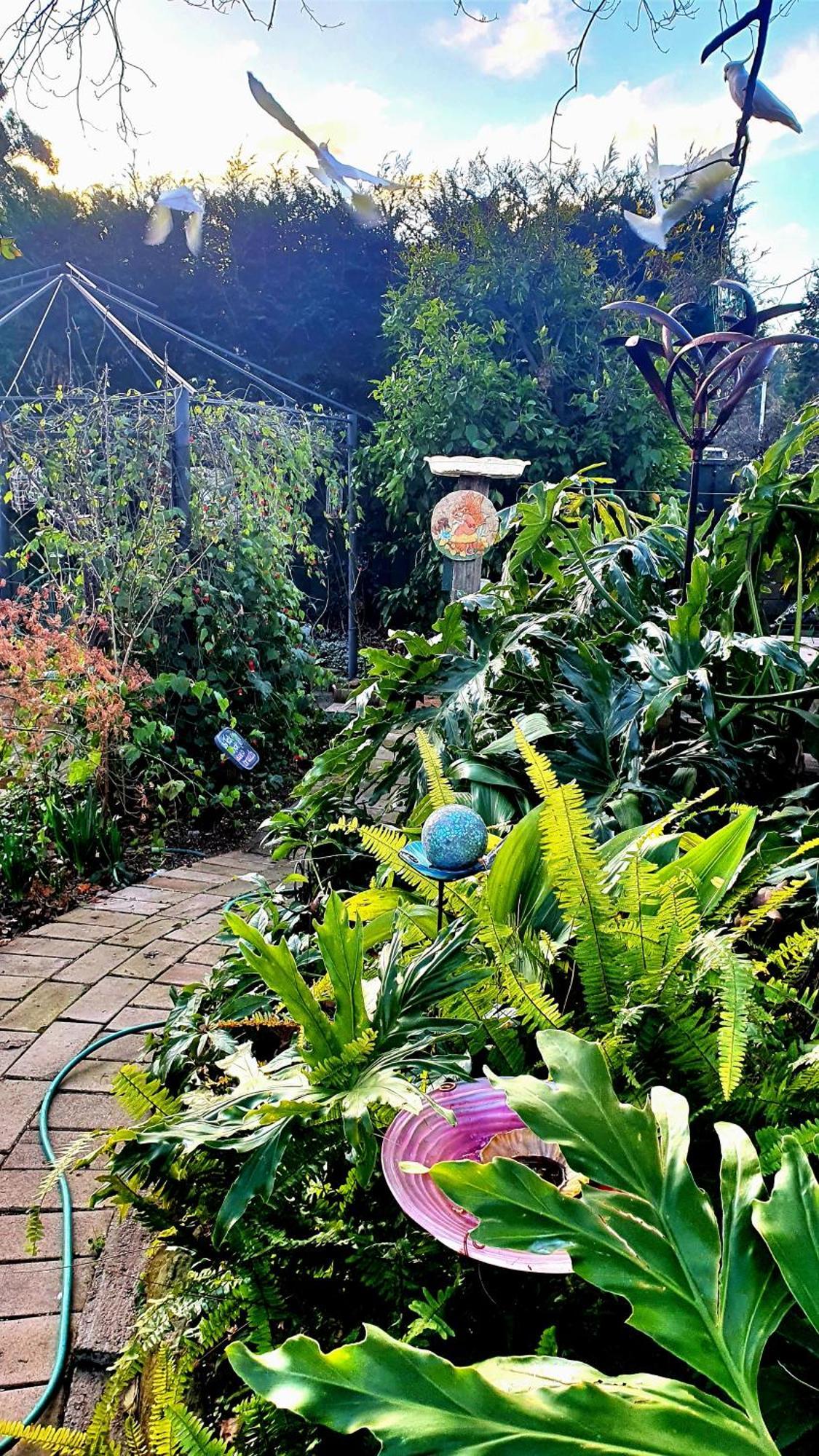 Bowral Road Art Gallery Bed And Breakfast Mittagong Zewnętrze zdjęcie