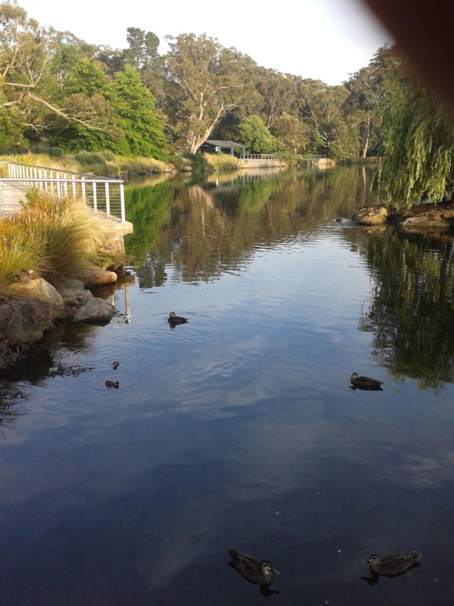 Bowral Road Art Gallery Bed And Breakfast Mittagong Zewnętrze zdjęcie