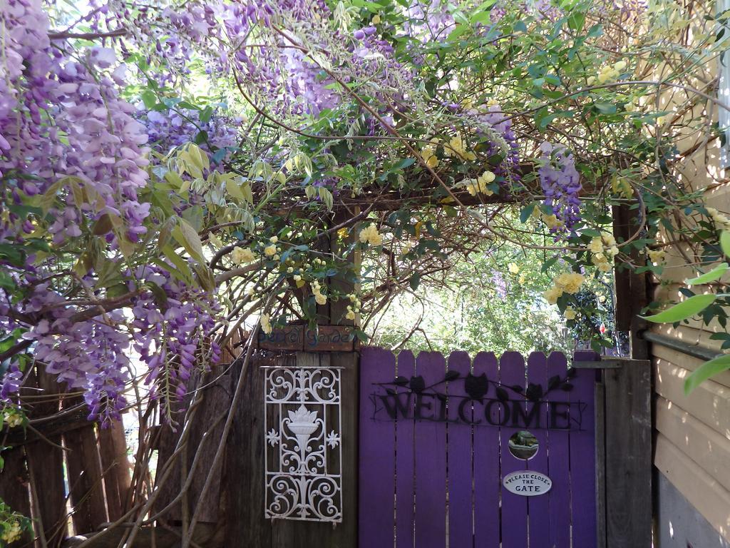 Bowral Road Art Gallery Bed And Breakfast Mittagong Zewnętrze zdjęcie